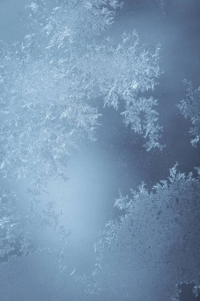 Close Image Some Icy Flowers Frozen Window — Stock Photo, Image