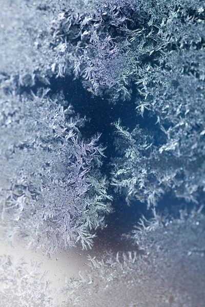 Close Image Some Icy Flowers Frozen Window — Stock Photo, Image