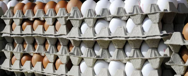 Huevos Caja —  Fotos de Stock