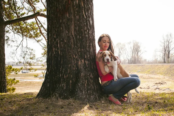 若いペット犬は屋外公園でビーグルウォーキングを繁殖させます 女は子犬や芝居やトランジスレイトシアを慎重に歩き森の中の草の上の木の下の抱擁でペットと座って清算 — ストック写真