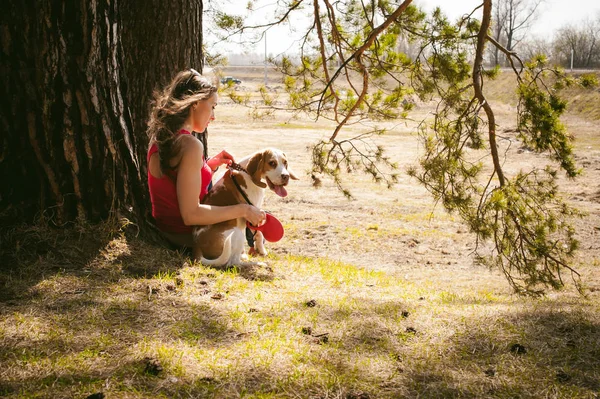 Genç Köpek Dışarıda Parkta Yürüyen Bir Köpeği Yetiştiriyor Kadın Köpek — Stok fotoğraf
