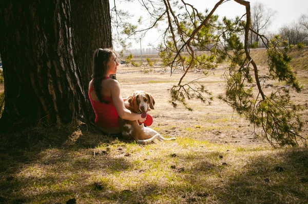 Genç Köpek Dışarıda Parkta Yürüyen Bir Köpeği Yetiştiriyor Kadın Köpek — Stok fotoğraf