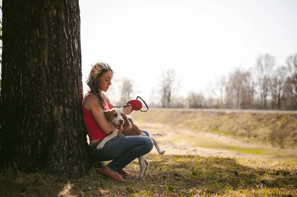 Cão Estimação Jovens Raças Beagle Andando Parque Livre Mulher Cuidadosamente — Fotografia de Stock