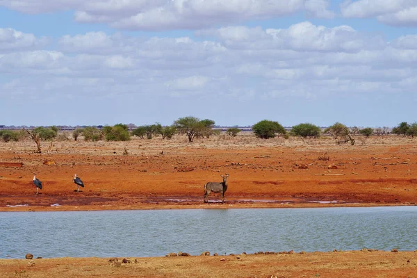 Vue Pittoresque Sur Les Paysages Campagne — Photo