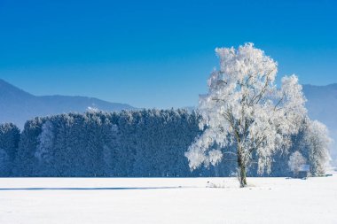 picturesque view of snow-covered winter landscape clipart