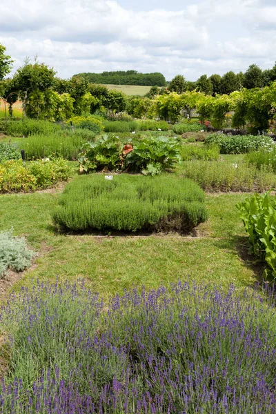 Subtle Sophisticated Full Taste Garden Chateau Chatonniere Villandry Loire Valley — Stock Photo, Image