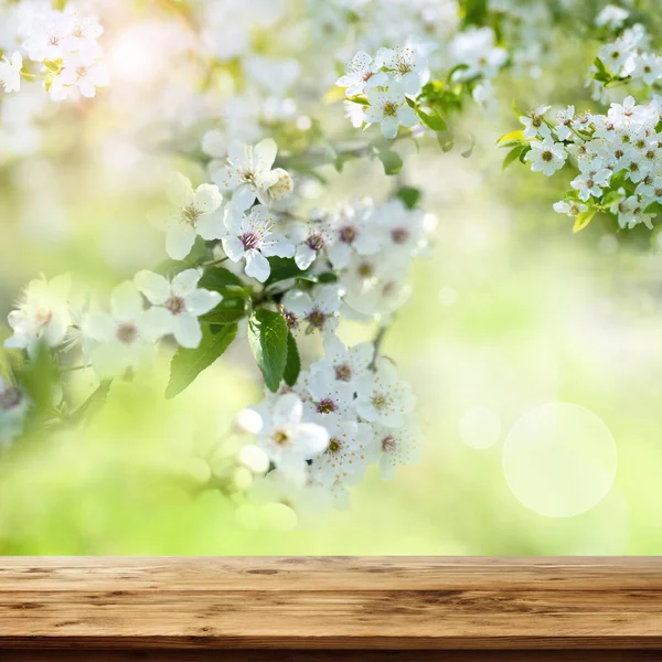 Empty Wooden Table White Spring Blossoms Bokeh Effect Easter Decoration — Stock Photo, Image