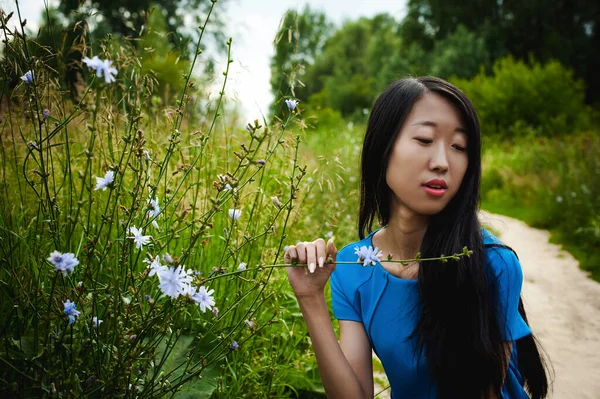Joven Mujer Asiática Atractiva Vestida Con Vestido Azul Con Pelo — Foto de Stock