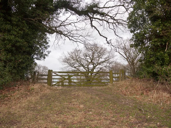 Houten Hek Boom Land Prive Veld Boerderij — Stockfoto