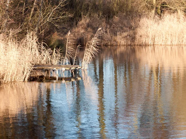 See Teich Oberflächenwasser Keine Menschen Schließen Herbst Golden — Stockfoto