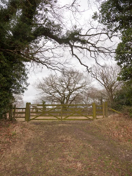 Clôture Porte Bois Arbre Campagne Champ Privé Ferme — Photo