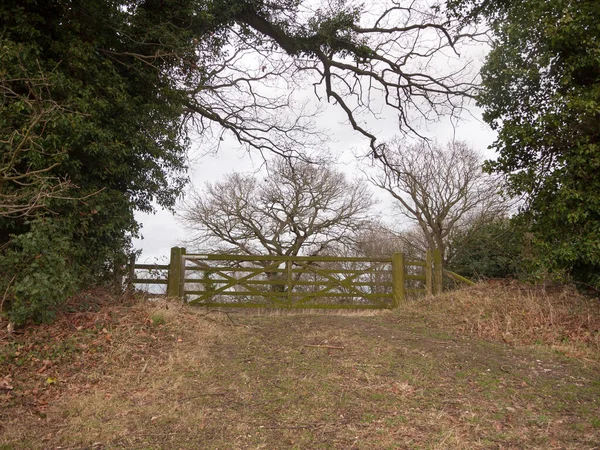 Clôture Porte Bois Arbre Campagne Champ Privé Ferme — Photo