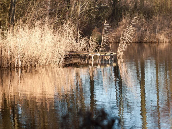See Teich Oberflächenwasser Keine Menschen Schließen Herbst Golden — Stockfoto