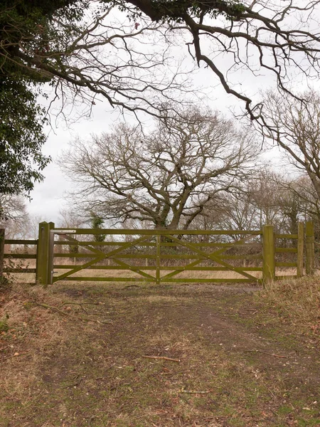 Drewniana Brama Ogrodzenie Drzewo Kraj Prywatne Pole Gospodarstwa — Zdjęcie stockowe