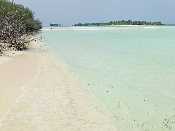 Modré Laguny Tropické Pláže Maledivách — Stock fotografie