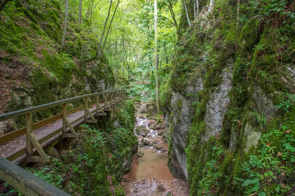 阿尔卑斯山全景 — 图库照片