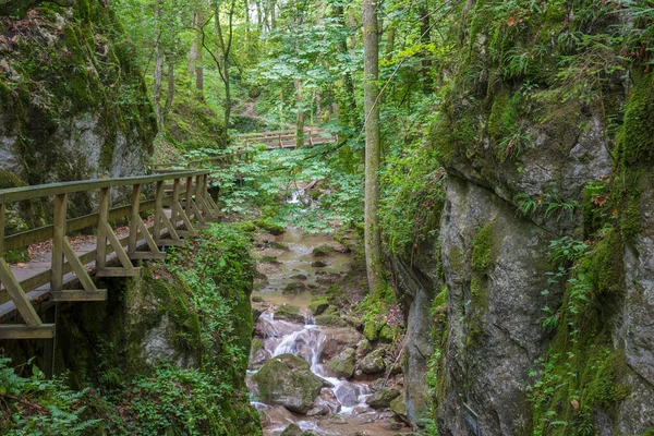 Alpok Panorámája — Stock Fotó