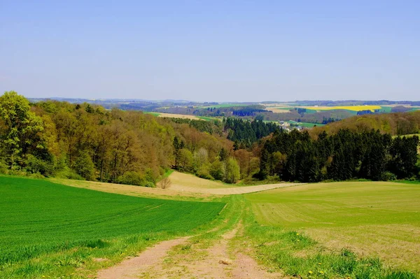 Landschaft Mit Wald Wiesen Und Feldern Frühling Der Eifel — Stockfoto