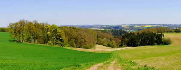 Landschaft Mit Wald Wiesen Und Feldern Frühling Eifelpanorama — Stockfoto