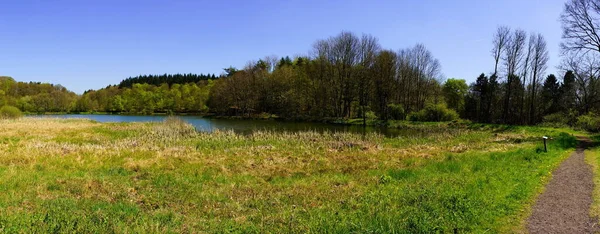 Holzmaar Volkanik Eifel Baharda Panorama — Stok fotoğraf