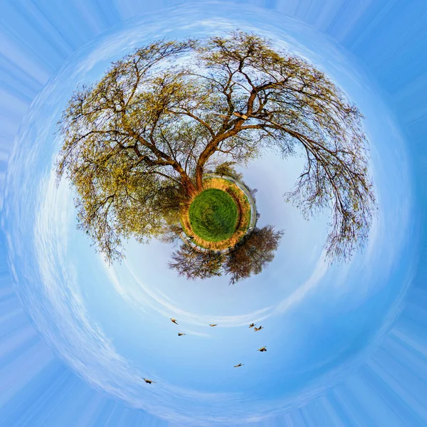Stromová Planeta Jaře — Stock fotografie