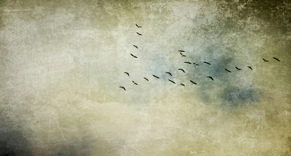 Ptaki Żurawie Podczas Lotu Formacji Fotografia Kolaż Faktura Koncepcja Tło — Zdjęcie stockowe