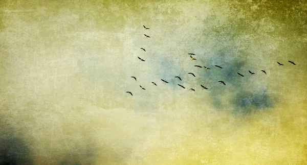 birds (cranes) on the flight in formation. photo collage,texture,concept,background,nature,bird migration,phenomenon,migratory birds,sky,travel,grief,grief,memory,narrative.