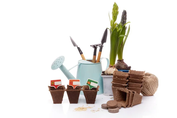 Gardening Tools Watering Can Peat Tablets Pots Seeds Young Seedlings — Stock Photo, Image