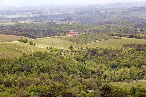 Paisaje Toscano Del Castello Brolio Gaiole Chainti Toscana Italia — Foto de Stock