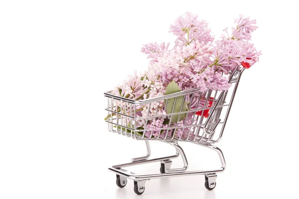 Bouquet Lilac Flowers Shopping Trolley White Background Copy Space Adding — Stock Photo, Image