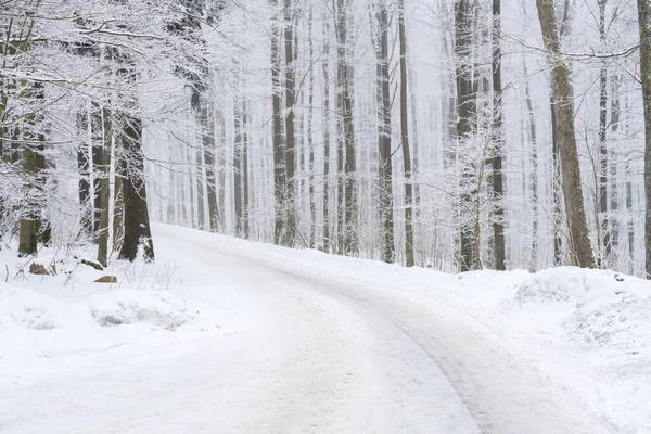 Snöigt Skogslandskap Vinter Skog Med Träd — Stockfoto