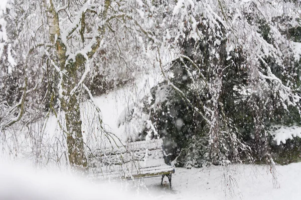 Снежинки Перед Готовыми Снежными Деревьями — стоковое фото