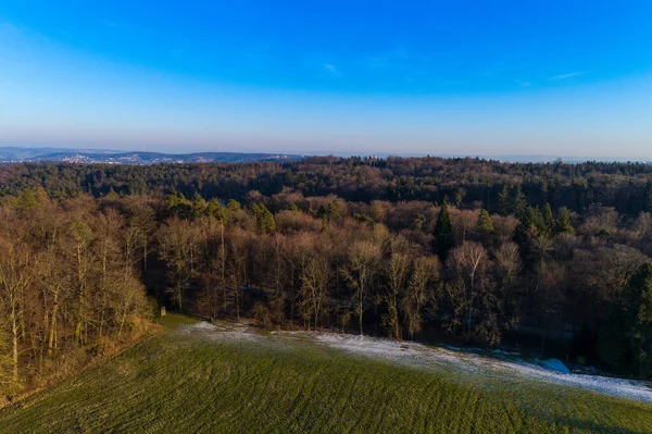 Wintersonne Mischwald — Stockfoto