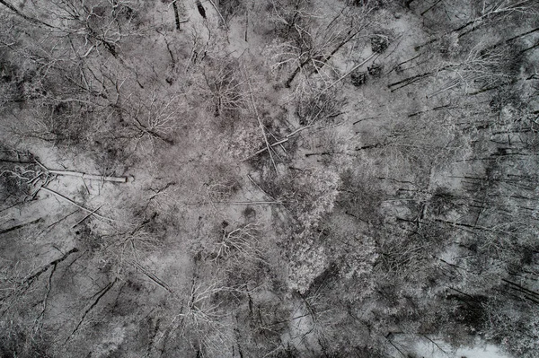 Winterlandschap Vanuit Vogelperspectief — Stockfoto