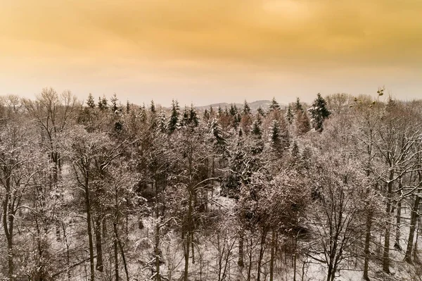 Vinterlandskap Från Fågelperspektiv — Stockfoto