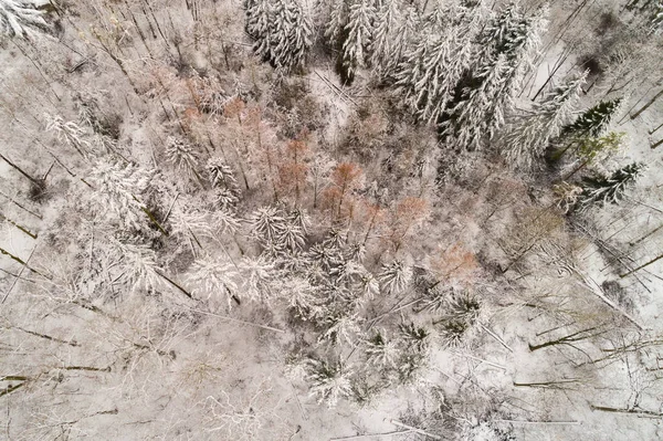 Χειμερινό Τοπίο Από Θέα Ενός Πουλιού — Φωτογραφία Αρχείου