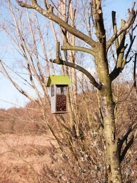 Appeso Vicino Mangiatoia Uccelli Capannone Legno Sulla Primavera Albero — Foto Stock