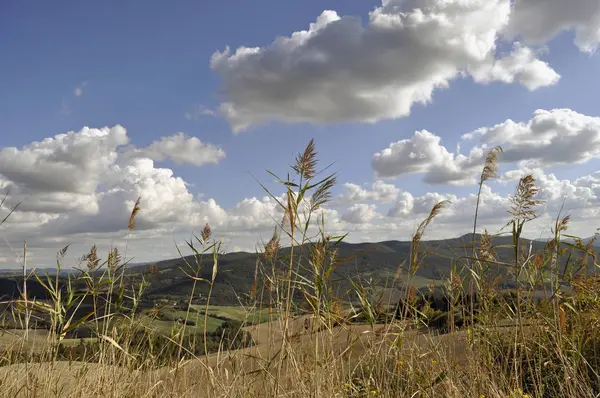 Landskap Toscana Volterra Med Moln Humör Och Gräs Förgrunden — Stockfoto