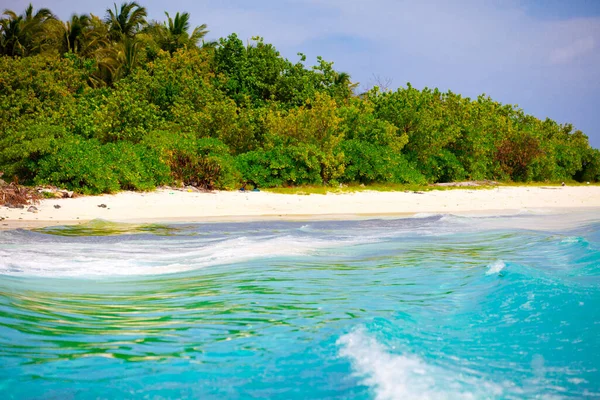 Tropik Bitki Örtüsü Adanın Doğası Tatil Cenneti — Stok fotoğraf
