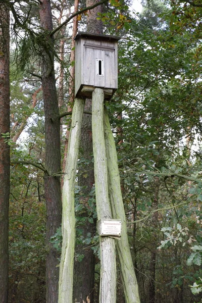 森の古い木の柵 — ストック写真