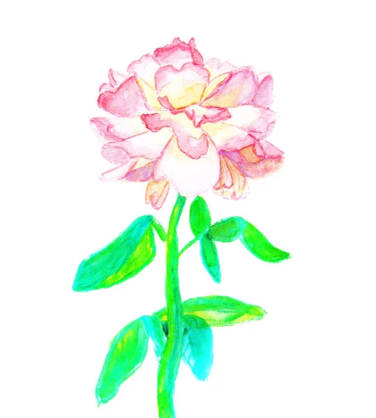 Pink Rose Hand Drawn Painting Water Colours Size Original — Stock Photo, Image
