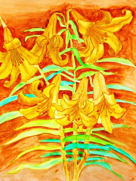 Kézzel Rajzolt Kép Akvarellekben Sárga Liliomokban Eredeti Méret — Stock Fotó