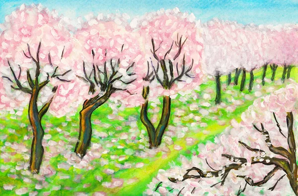 Hand painted picture, watercolours, spring garden with pink cherry trees in blossom.