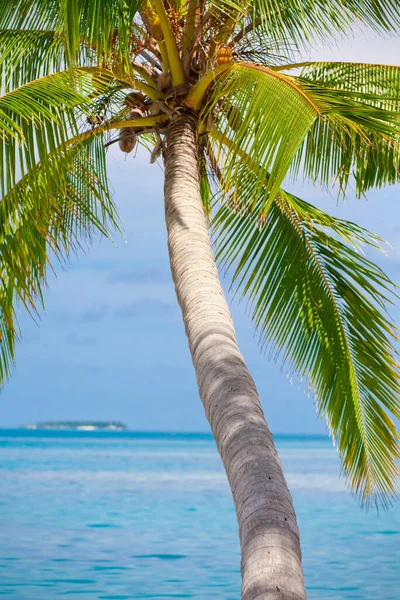 Urlaubsparadies Reisekonzept — Stockfoto