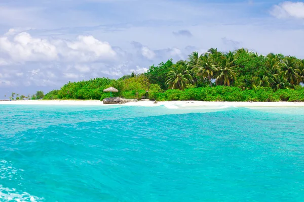 Flora Tropicale Natura Dell Isola Paradiso Delle Vacanze — Foto Stock