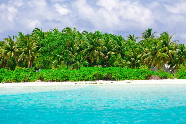 Flora Tropicale Natura Dell Isola Paradiso Delle Vacanze — Foto Stock