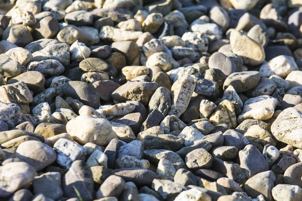 Pedras Seixos Rochas Praia — Fotografia de Stock