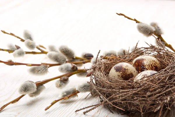 Decoração Páscoa Ovos Codorna Ninho Uns Ramos Salgueiro Buceta Fundo — Fotografia de Stock