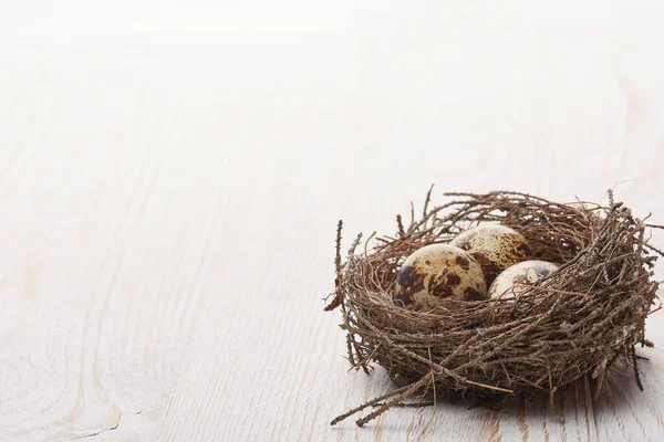 Kwarteleieren Een Echt Nest Een Houten Tafel Een Witte Achtergrond — Stockfoto