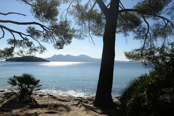 Coast Seacoast Formentor Peninsula Mallorca Formentor Balearic Islands Spain Coast — стоковое фото